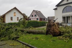 Albisrieden Dorfplatz