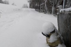 P_20210112_160306-2-scaled