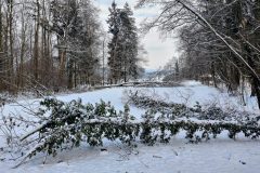 P_20210211_150327-scaled