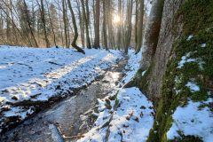 P_20210213_155049-scaled