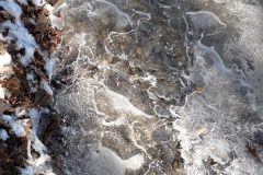 P_20210214_142807-scaled