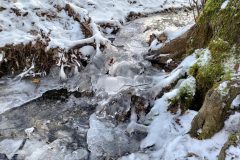 P_20210214_142842-scaled